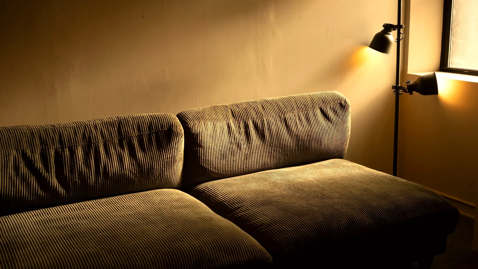 A sofa and cushions in a living room lit by warm evening light