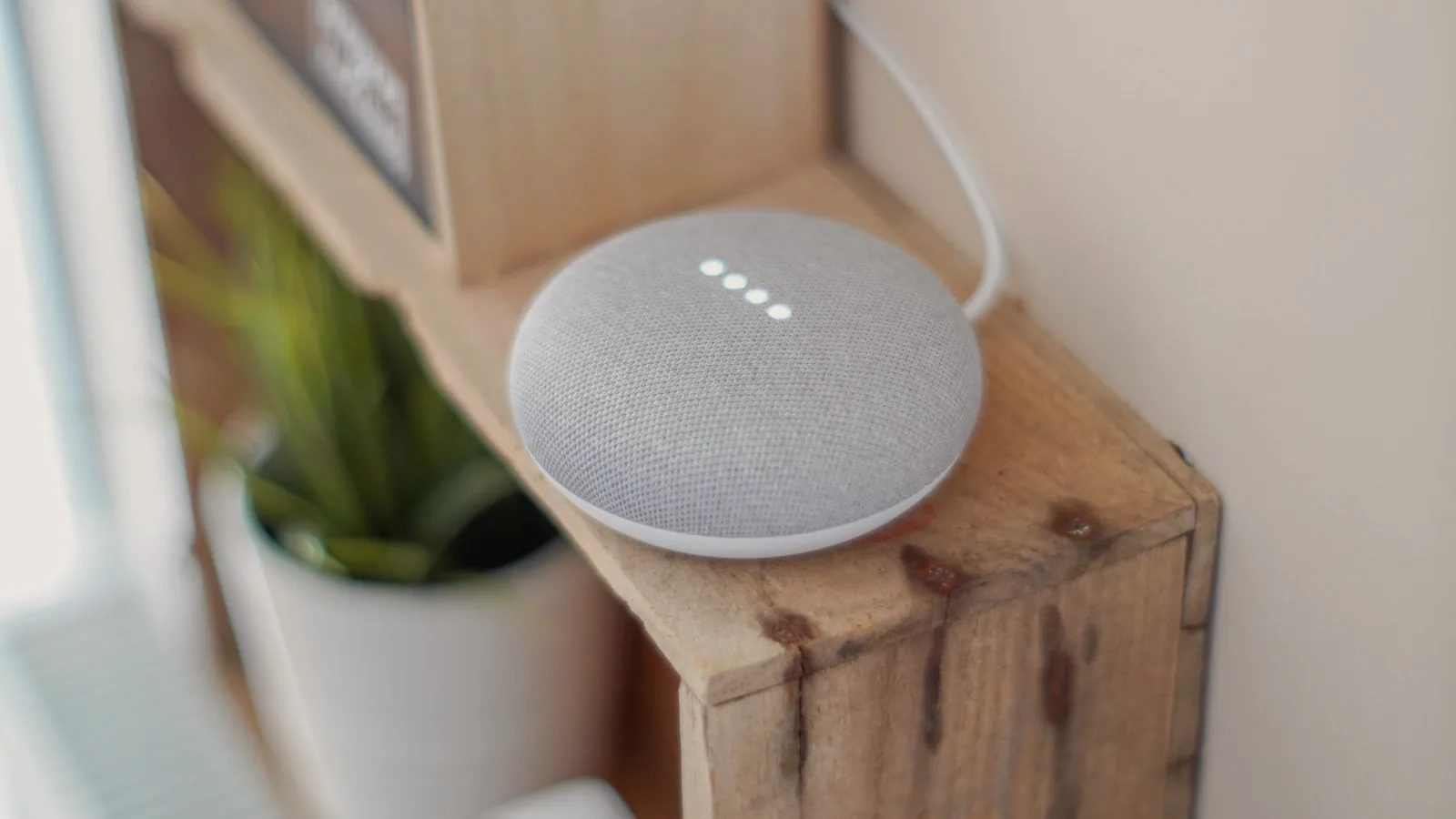 A small grey smart speaker on a wooden shelf beside a potted plant