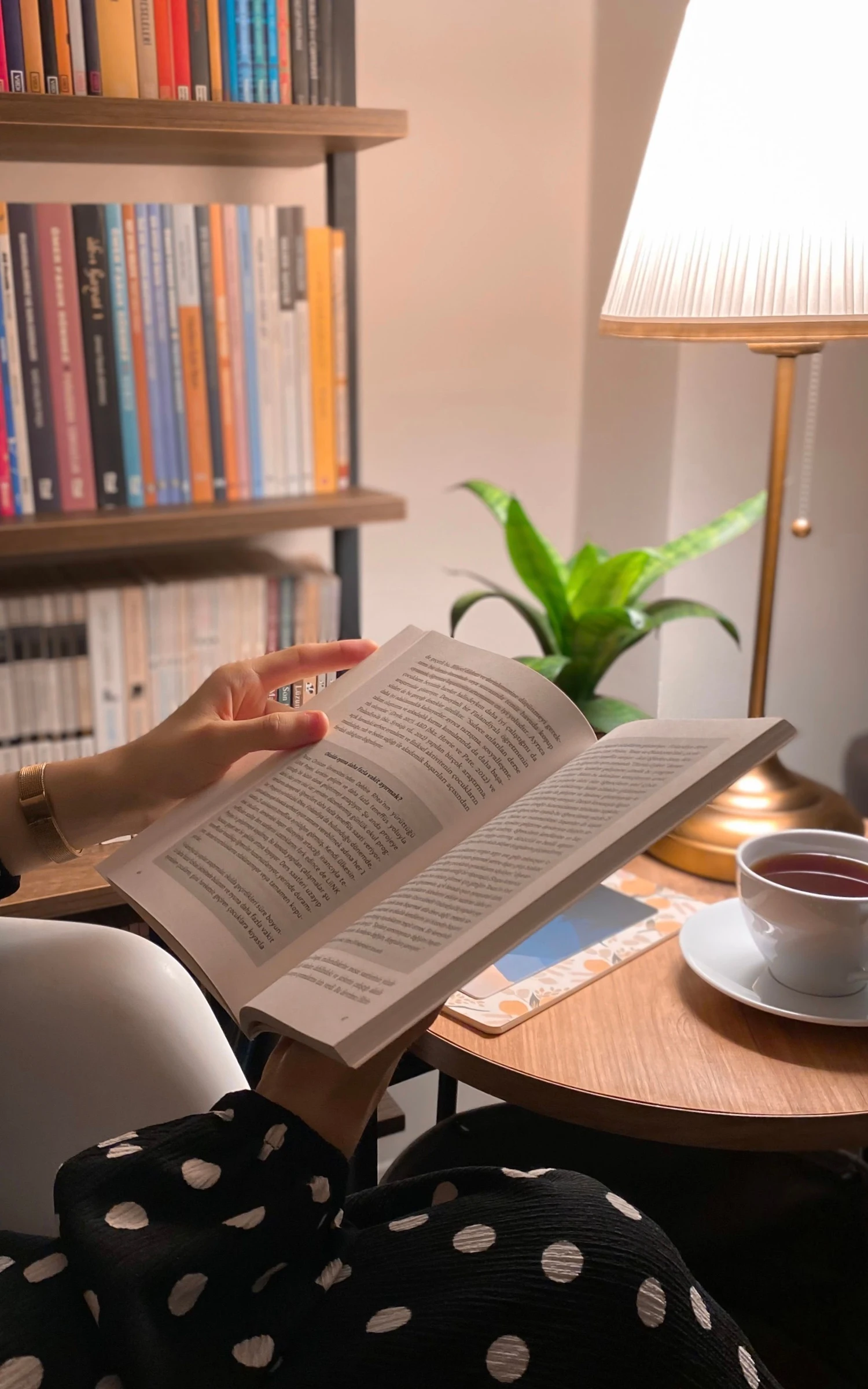 A reading corner with a lamp; illustrates placement rather than a tested lamp.